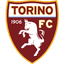 Torino logo