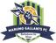 Marumo Gallants FC logo